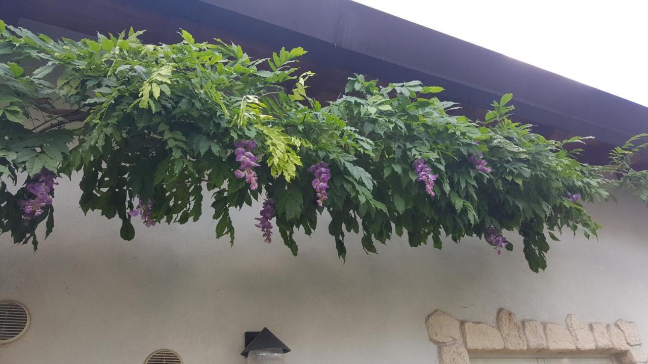 فندق Casa Yami بادوفا المظهر الخارجي الصورة